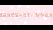 科学配方的营养零食如何挑选优质猫咪饼干附6种健康自制食谱与选购避坑指南