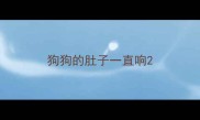 狗狗的肚子一直响