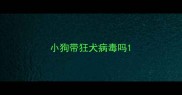 小狗带狂犬病毒吗