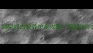 新手必看QQ空间古牧养护全攻略德国牧羊犬养成指南