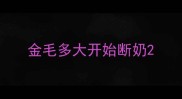 金毛多大开始断奶