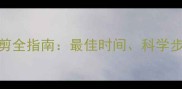雪纳瑞毛发修剪全指南最佳时间科学步骤与常见误区