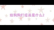 给狗狗打疫苗是什么