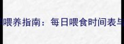 金毛幼犬科学喂养指南每日喂食时间表与营养搭配全
