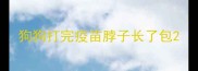 狗狗打完疫苗脖子长了包