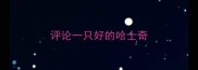评论一只好的哈士奇