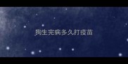 狗生完病多久打疫苗