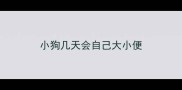 小狗几天会自己大小便