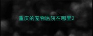 重庆的宠物医院在哪里