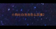 小狗吐白泡泡怎么回事