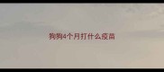 狗狗4个月打什么疫苗