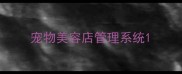 宠物美容店管理系统