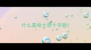 什么是哈士奇十字脸