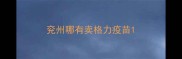 兖州哪有卖格力疫苗