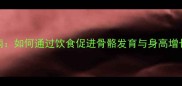 边牧科学喂养指南如何通过饮食促进骨骼发育与身高增长附成长食谱