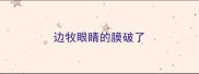 边牧眼睛的膜破了