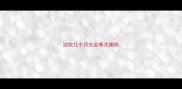 边牧几个月大会来大姨妈