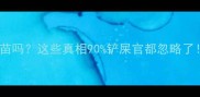 猫咪上火能打疫苗吗这些真相90铲屎官都忽略了附科学护理指南