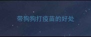 带狗狗打疫苗的好处