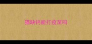猫缺钙能打疫苗吗