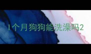 I个月狗狗能洗澡吗