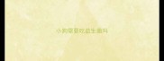 小狗需要吃益生菌吗