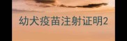 幼犬疫苗注射证明