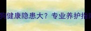 腿细身子胖的狗狗健康隐患大专业养护指南与训练方法全