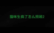 猫咪生病了怎么照顾