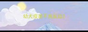 幼犬疫苗不良反应