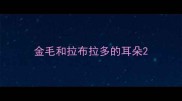 金毛和拉布拉多的耳朵