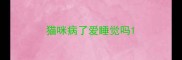 猫咪病了爱睡觉吗