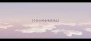 2个月大的金毛吃什么