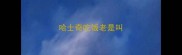 哈士奇吃饭老是叫