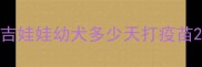 吉娃娃幼犬多少天打疫苗