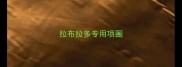 拉布拉多专用项圈