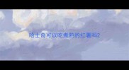 哈士奇可以吃煮熟的红薯吗