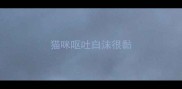 猫咪呕吐白沫很黏