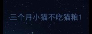 三个月小猫不吃猫粮
