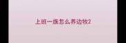 上班一族怎么养边牧