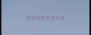 防止拉布拉多生病