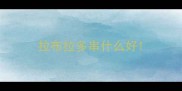 拉布拉多串什么好