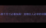 拉布拉多脖子尺寸必看指南宠物主人必学的项圈选择技巧