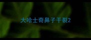 大哈士奇鼻子干裂