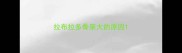 拉布拉多骨架大的原因