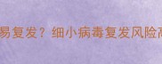 狗狗得过细小病毒后是否容易复发细小病毒复发风险高吗5大预防复发关键措施