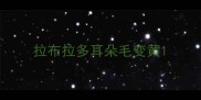 拉布拉多耳朵毛变黄