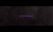 边牧几月份买合适