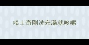 哈士奇刚洗完澡就哆嗦