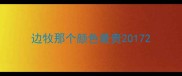 边牧那个颜色最贵2017